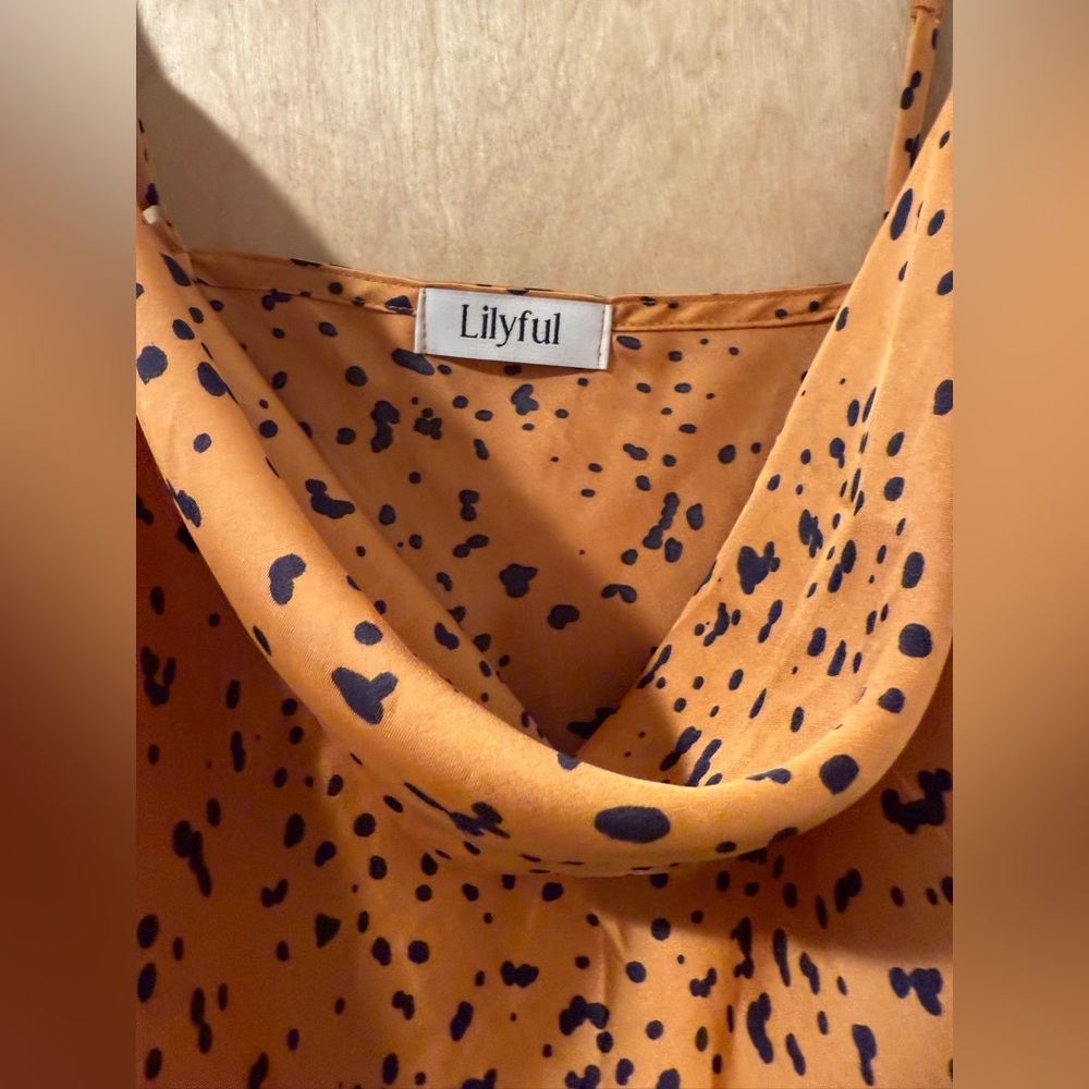 Lilyful Bias Cut Slip Dress. 3/$25! - Picture 6 of 13
